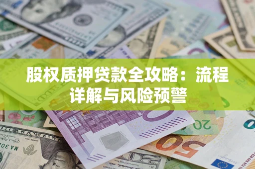 武汉股权质押贷款全攻略：流程详解与风险预警