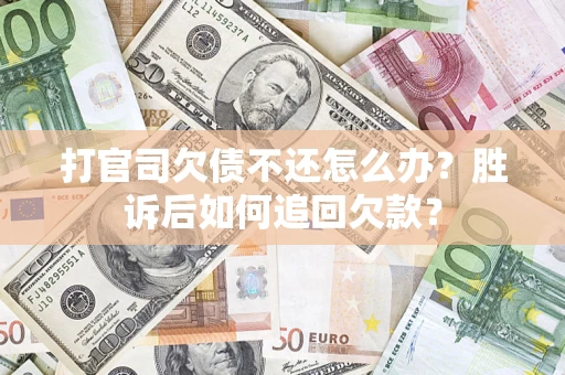 武汉打官司欠债不还怎么办？胜诉后如何追回欠款？