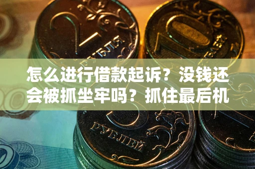 武汉怎么进行借款起诉？没钱还会被抓坐牢吗？抓住最后机会！
