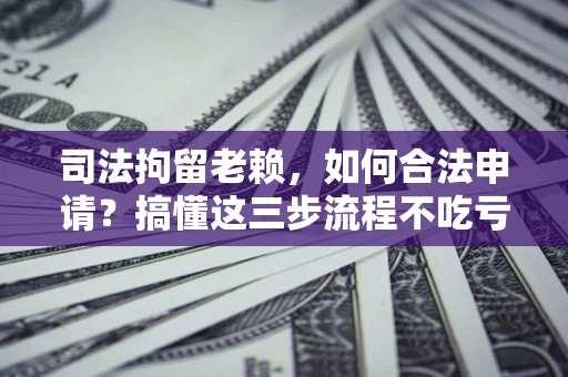 武汉司法拘留老赖，如何合法申请？搞懂这三步流程不吃亏！