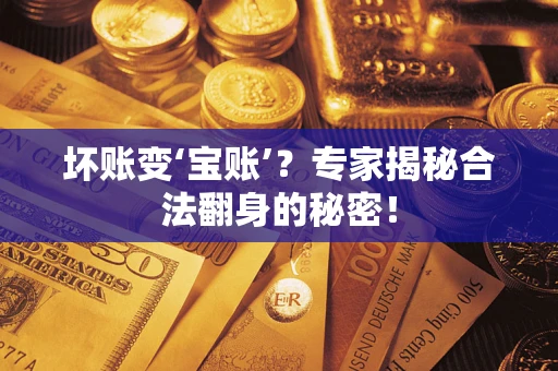 武汉坏账变‘宝账’？专家揭秘合法翻身的秘密！