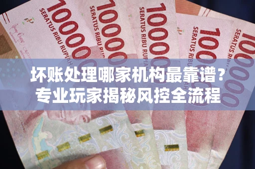 武汉坏账处理哪家机构最靠谱？专业玩家揭秘风控全流程