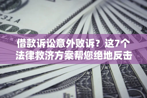 武汉借款诉讼意外败诉？这7个法律救济方案帮您绝地反击！