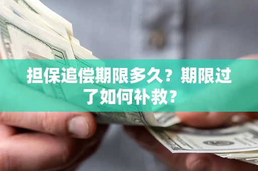武汉担保追偿期限多久？期限过了如何补救？