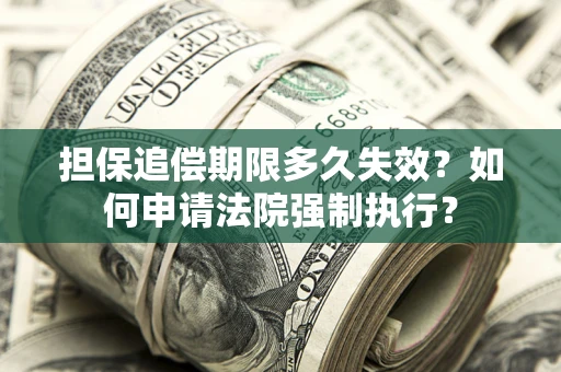 武汉担保追偿期限多久失效？如何申请法院强制执行？