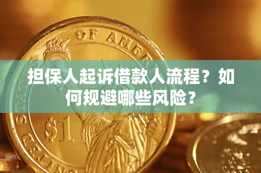 武汉担保人起诉借款人流程？如何规避哪些风险？