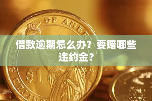 武汉借款逾期怎么办？要赔哪些违约金？