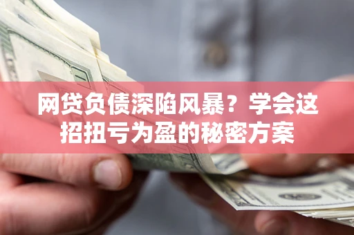 武汉网贷负债深陷风暴？学会这招扭亏为盈的秘密方案