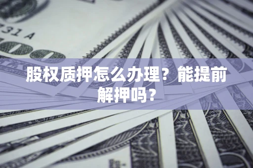 武汉股权质押怎么办理？能提前解押吗？